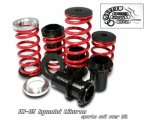 03-05 HYUNDAI TIBURON COILOVER KIT WITH SCALE (RED)
