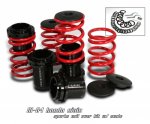 01-04 HONDA CIVIC COILOVER KIT WITH SCALE (RED)