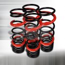 S14 Lowering Spring For 95-98 Nissan Silvia